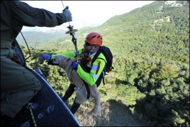 CONCLUSA L'ESERCITAZIONE 'GRIFONE 2010' - Aeronautica Militare