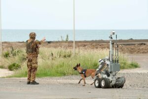 17° STORMO INCURSORI, CON USA E GERMANIA PER ADDESTRAMENTO ANTI ORDIGNI IMPROVVISATI