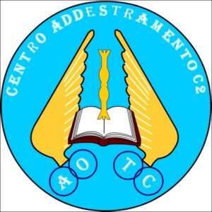 Il-distintivo-dell-AOTC