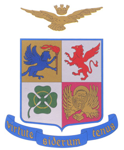 StemmaAM