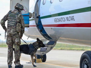 EUROPEAN DEFENCE AGENCY: ESERCITAZIONE C-IED BISON COUNTER 21 - Aeronautica Militare