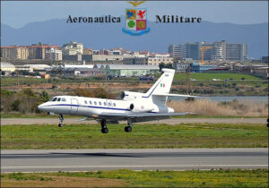 foto-falcon
